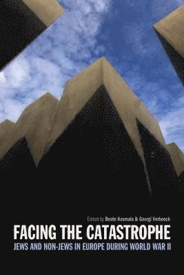 Facing the Catastrophe 1