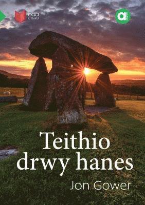 Jon Gower, Delyth Ifan - Cyfres Amdani: Teithio drwy Hanes, Häftad