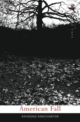 Raymond Ramcharitar - American Fall, Häftad
