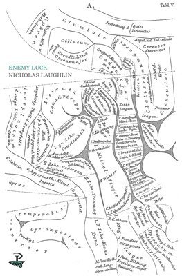 Nicholas Laughlin - Enemy Luck, Häftad