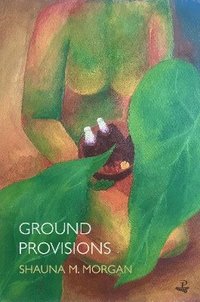 bokomslag Ground Provisions