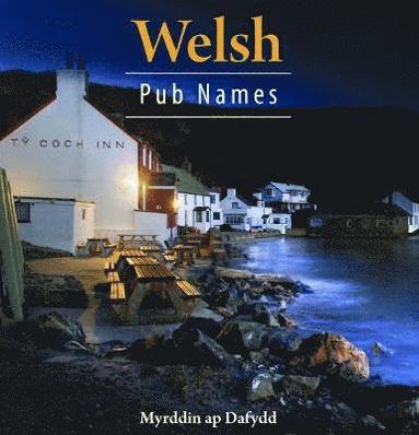 bokomslag Compact Wales: Welsh Pub Names