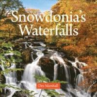 bokomslag Compact Wales: Snowdonia's Waterfalls