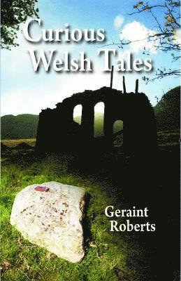 bokomslag Curious Welsh Tales