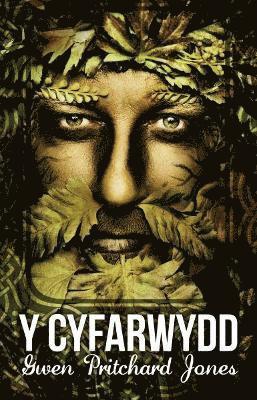 Y Cyfarwydd 1