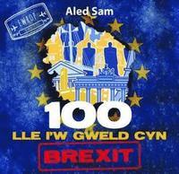 bokomslag 100 Lle i'w Gweld Cyn Brexit