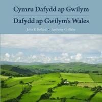bokomslag Cymru Dafydd Ap Gwilym - Cerddi a Lleoedd / Dafydd Ap Gwilym's Wales - Poems and Places