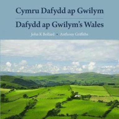 bokomslag Cymru Dafydd Ap Gwilym - Cerddi a Lleoedd / Dafydd Ap Gwilym's Wales - Poems and Places