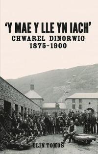 bokomslag 'Y Mae y Lle yn Iach' - Chwarel Dinorwig 1875-1900