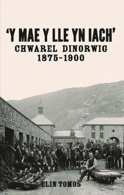 bokomslag 'Y Mae y Lle yn Iach' - Chwarel Dinorwig 1875-1900