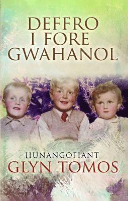 bokomslag Deffro i Fore Gwahanol - Hunangofiant Glyn Tom