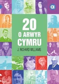 bokomslag Cyfres Amdani: 20 o Arwyr Cymru