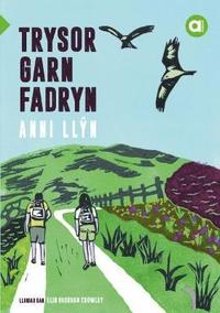 bokomslag Cyfres Amdani: Trysor Garn Fadryn