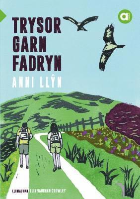 bokomslag Cyfres Amdani: Trysor Garn Fadryn