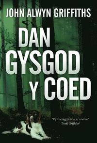 bokomslag Dan Gysgod y Coed