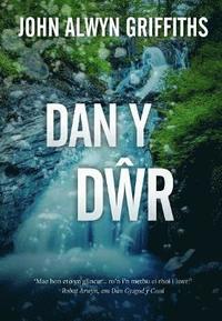 bokomslag Dan y Dr