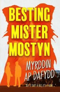 bokomslag Besting Mister Mostyn