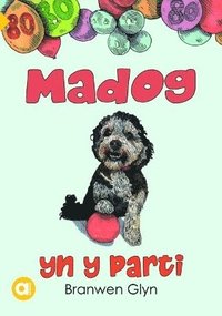 bokomslag Cyfres Amdani: Madog yn y Parti