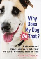 Caroline Spencer - Why Does My Dog Do That?, Häftad