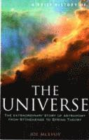 bokomslag A Brief History of the Universe