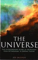 J.P. McEvoy, J. P. Mcevoy - Brief History of the Universe, Häftad