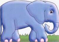 bokomslag Elephant