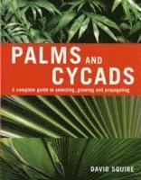 bokomslag Palms and Cycads