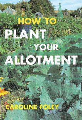 How to Plant Your Allotment 1