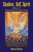 bokomslag Shadow, Self, Spirit: Essays in Transpersonal Psychology