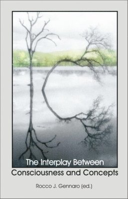 Rocco J. Gennaro - Interplay Between Consciousness and Concepts, Häftad