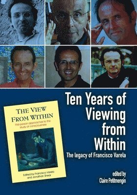 Ten Years of Viewing from Within 1