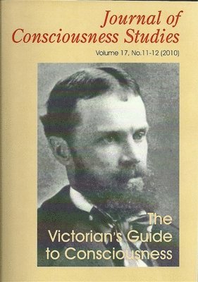 Allan Combs - Victorian's Guide to Consciousness, Häftad