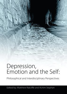 Matthew Ratcliffe, Achim Stephan - Depression, Emotion and the Self, Häftad