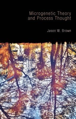 Jason W. Brown - Microgenetic Theory and Process Thought, Häftad
