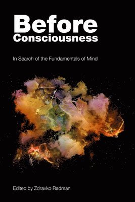 Before Consciousness 1