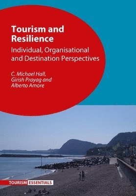 bokomslag Tourism and Resilience