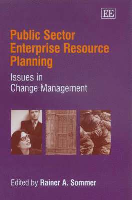 bokomslag Public Sector Enterprise Resource Planning