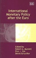bokomslag International Monetary Policy after the Euro