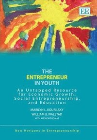 bokomslag The Entrepreneur in Youth