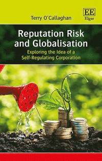 bokomslag Reputation Risk and Globalisation