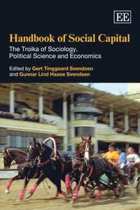 bokomslag Handbook of Social Capital