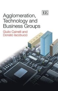 bokomslag Agglomeration, Technology and Business Groups