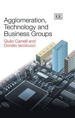 Agglomeration, Technology and Business Groups 1