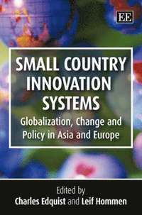 bokomslag Small Country Innovation Systems