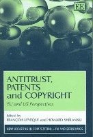 bokomslag Antitrust, Patents and Copyright