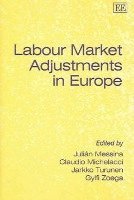 bokomslag Labour Market Adjustments in Europe