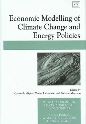 Carlos de Miguel, Xavier Labandeira, Baltasar Manzano - Economic Modelling of Climate Change and Energy Policies, Inbunden