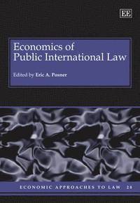 bokomslag Economics of Public International Law