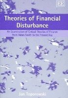 bokomslag Theories of Financial Disturbance