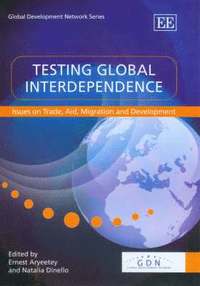 bokomslag Testing Global Interdependence